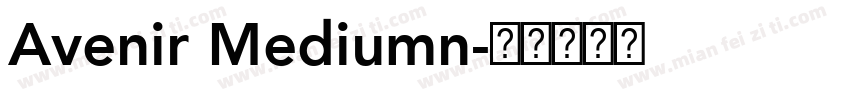 Avenir Mediumn字体转换